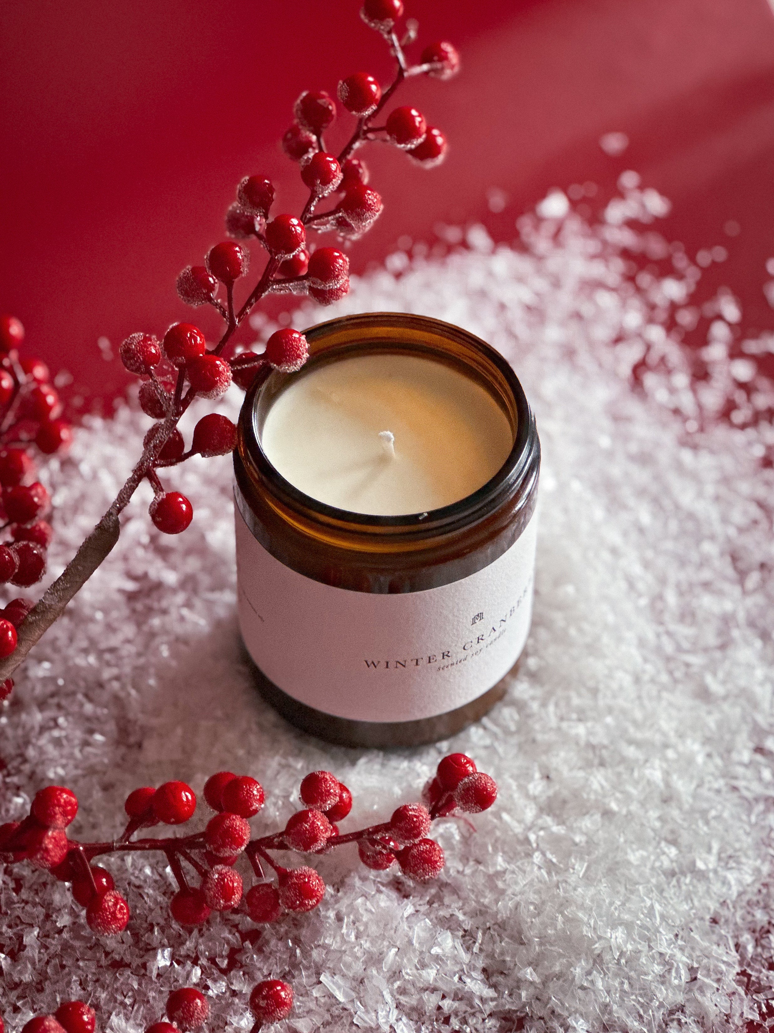 Winter Cranberry - Sojina sveća 220g